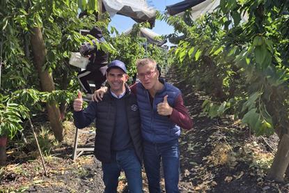 CMR Chilean cherries