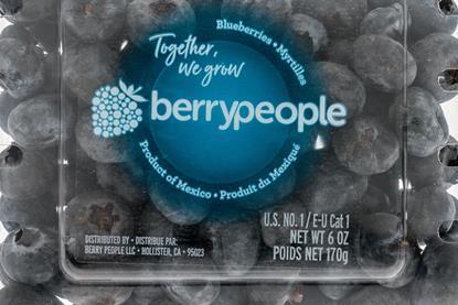 Mexico Berry People blueberries