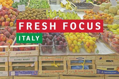 Fresh Focus Italy