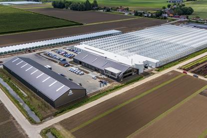 Rijk Zwaan new Trial Centre Open Field 2026 Netherlands