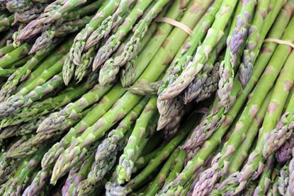 All things asparagus will be discussed