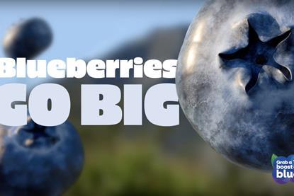 Blueberries Go Big Campaign