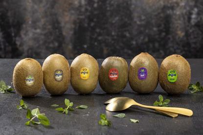 jingold-kiwi-2