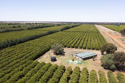 Super Citrus site
