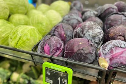 Blick auf Gemüseabteilung Albert Heijn