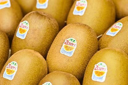 Zespri-Kiwi