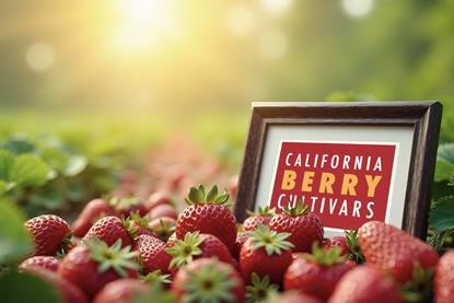 California Berry Cultivars