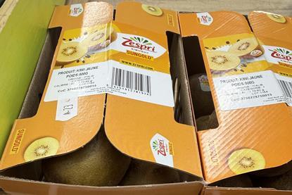FR Italian SunGold kiwifruit Zespri
