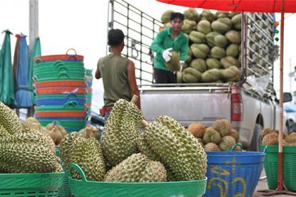 Thai durian transport truck export