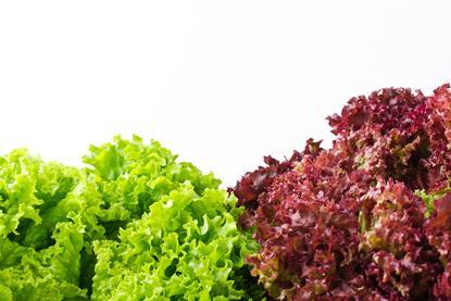 irynakolesova_AdobeStock_121311083