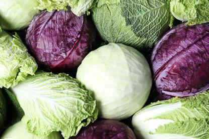 Cabbages