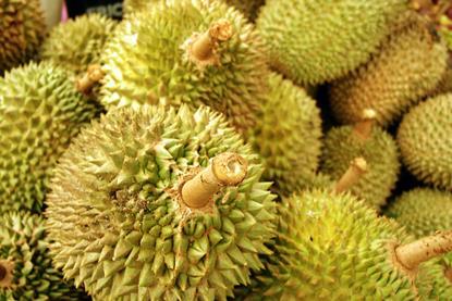 Malaysian durian