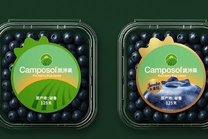 Camposol Blueberries China