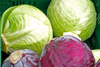 weiss und rotkohl_Gabi Schoenemann_pixelio