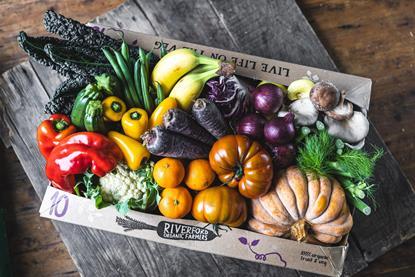 Rainbow veg box - Large 2