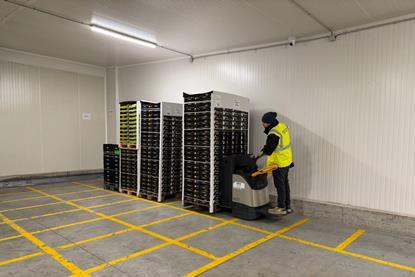 Montosa new Perpignan facility 3