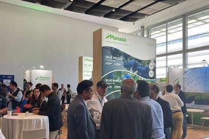 3_Networking at 2025 IBO Summit in South Africa