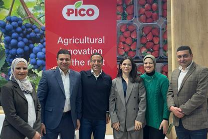 Pico team