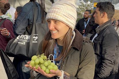 Autumncrisp grapes New York show