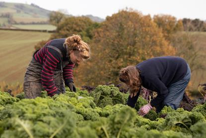 Harvesting organic