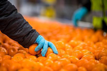 Lineage Facility Interior Fresh_2 (1)