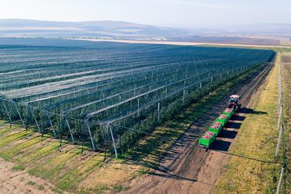Moldova has invested in modernising its orchards in recent years