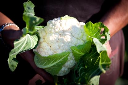 Ausveg Australian vegetables Cauliflower