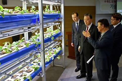 Korean strawberries technology briefing Korea Agro-Fisheries Food Trade Corporation