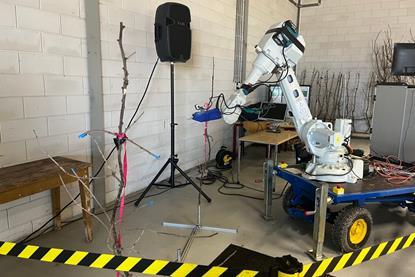 roboter niederlande