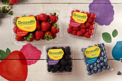 Driscolls berries
