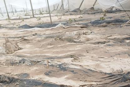 Almeria storms Coag Almería