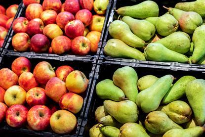 131023 - Äpfel und Birnen - AdobeStock