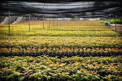 ropic  Rahan facility in The Philippines 2