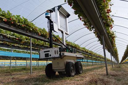 Robots use cameras to assist with a range of jobs on UK berry farms