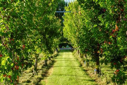 2025-news-new-funding-for-research-to-support-farmers-and-growers