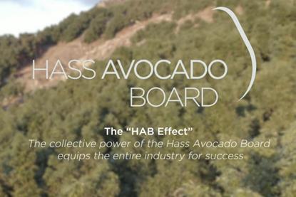 The HAB effect video