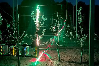 Ernteroboter-apfelplantage_michael bleier-uni würzburg
