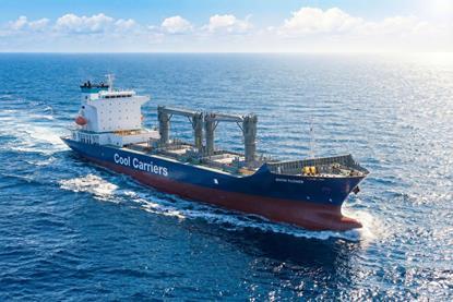 Cool Carriers Show Flower