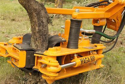 Chile nuts mechanisation maga-blog