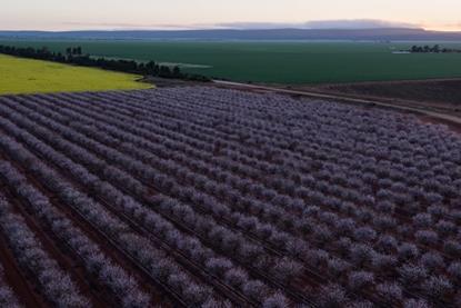 almabin_1504730162_9