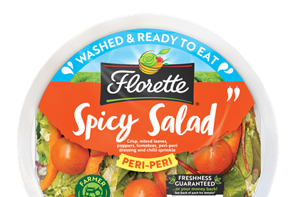 43616 Spicy Salad Bowl 200g Top