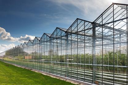 The work will improve the potential of glasshouse lighting