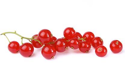 hcast_AdobeStock_128199303