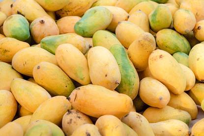 Pakistanimangoes