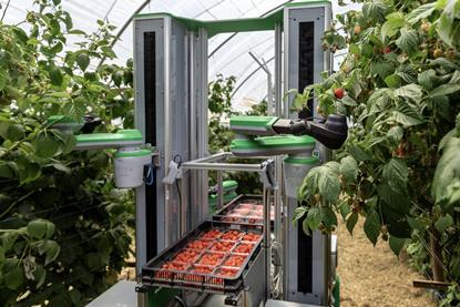 Fieldwork Robotics raspberry harvesting