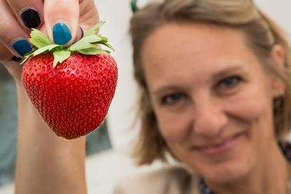 Driscoll's Zara are sold as a premium strawberry in Waitrose