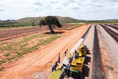 Südafrika Rosinen Trocknung -