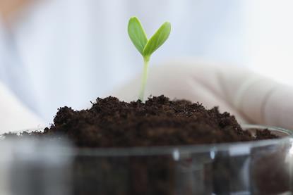 AdobeStock_525756537