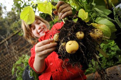 The Grow Your Own Potatoes programme teaches children valuable skills in food growing and nutrition