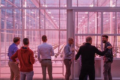 Rijk Zwaan De Hybride Phase 2 opening De Lier